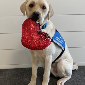 Fundraising Page: Susan Koller